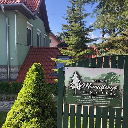 Bakonyi Mamutfenyő Vendégház Tés Kültér fotó
