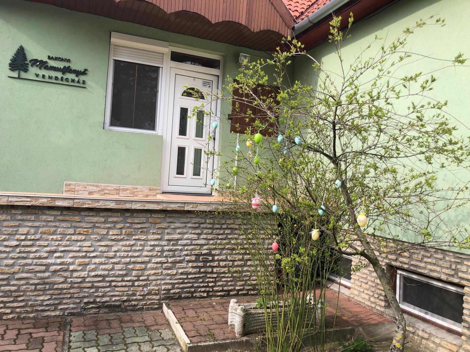 Bakonyi Mamutfenyő Vendégház Tés Kültér fotó