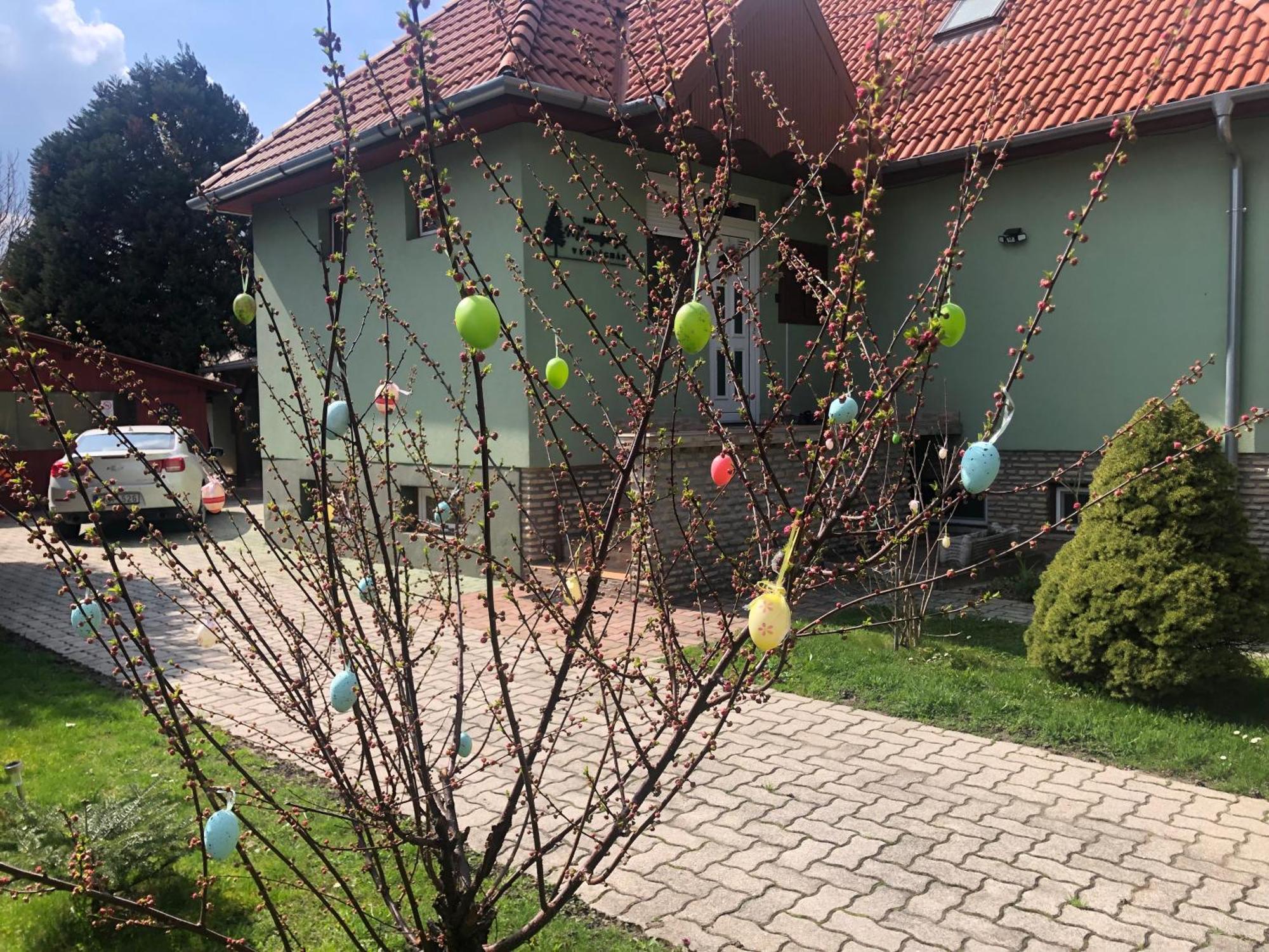 Bakonyi Mamutfenyő Vendégház Tés Kültér fotó
