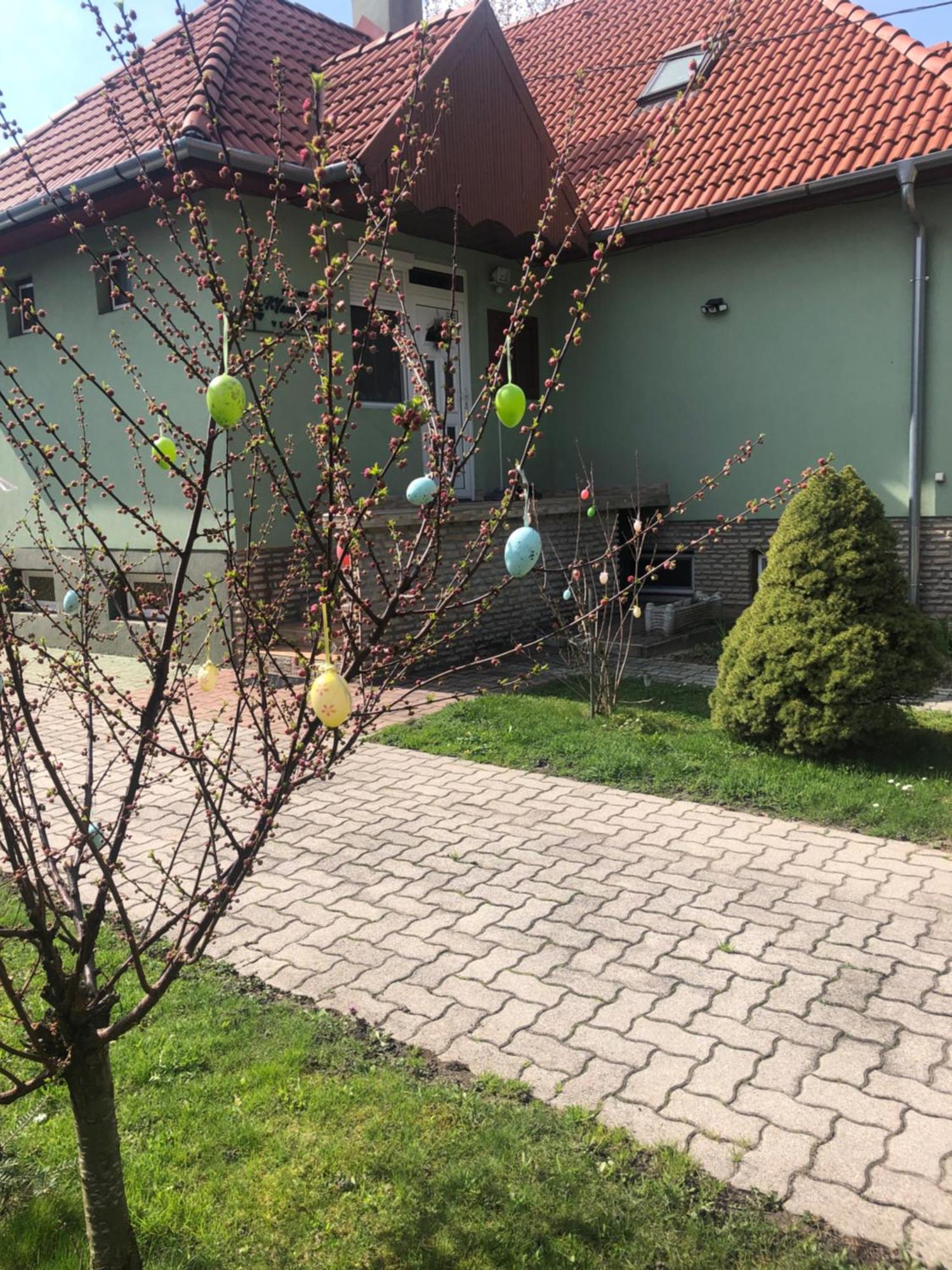 Bakonyi Mamutfenyő Vendégház Tés Kültér fotó