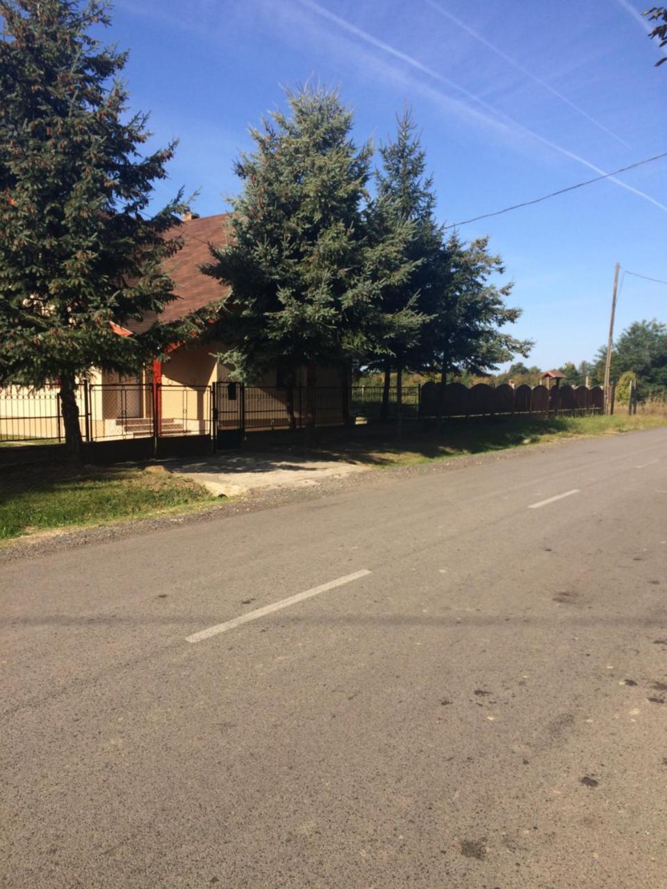 Bakonyi Mamutfenyő Vendégház Tés Kültér fotó